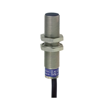 XS612B1PAL2 Inductive proximity sensors XS, inductive sensor XS6 M12, L54mm, brass, Sn4mm, 12...48 VDC, cable 2 m