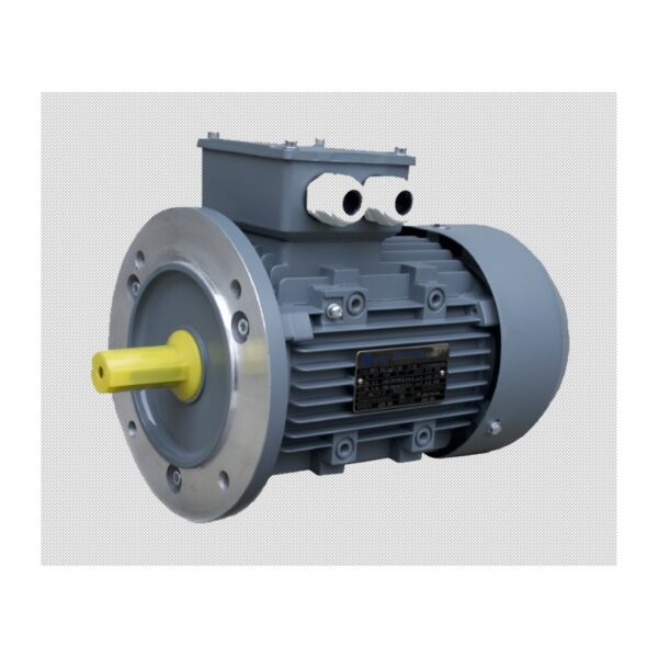 Electric motor 0,75 Kw,  1380 p/m MS80 2-4 B5 IE1 Promotor
