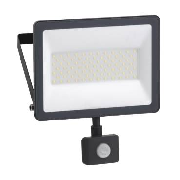 IMT47221 Mureva FL 50W 6500K, IP44 IR Sensor 230V